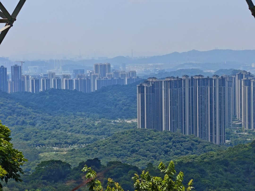 广东昨天挂130多个高温预警,仍有人37℃爬白云山:梧桐山身亡、杭州ICU之后,高温爬山有四条回头红线