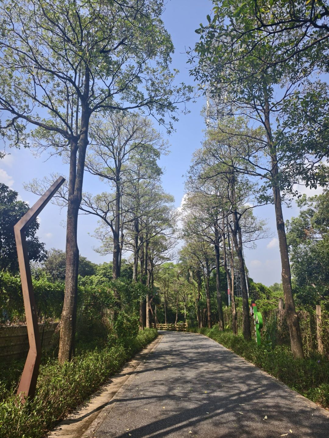 广东昨天挂130多个高温预警,仍有人37℃爬白云山:梧桐山身亡、杭州ICU之后,高温爬山有四条回头红线