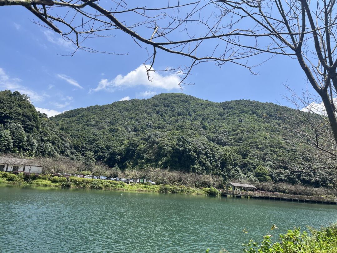 广东昨天挂130多个高温预警,仍有人37℃爬白云山:梧桐山身亡、杭州ICU之后,高温爬山有四条回头红线