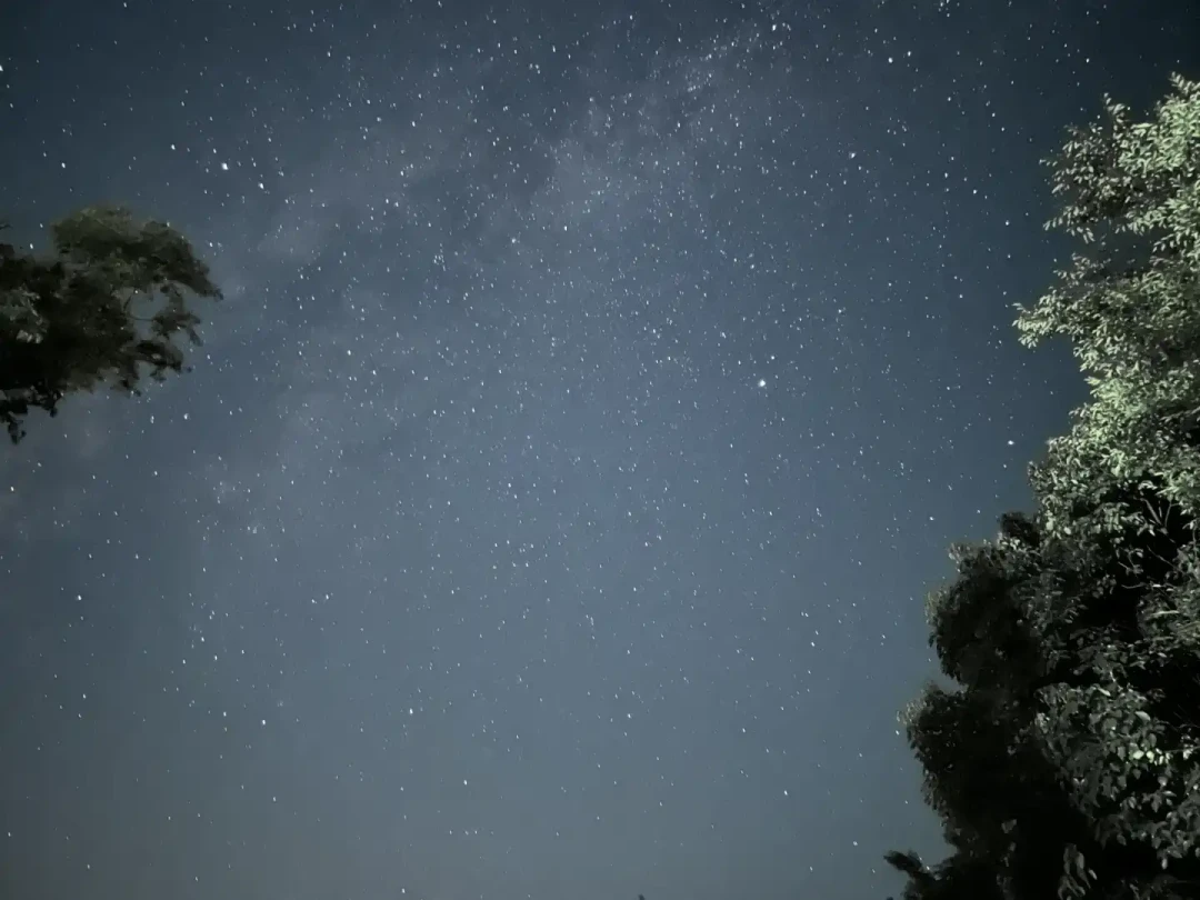 手机能拍英仙座流星雨吗?先说扎心真相,再给你三张稳拿的片