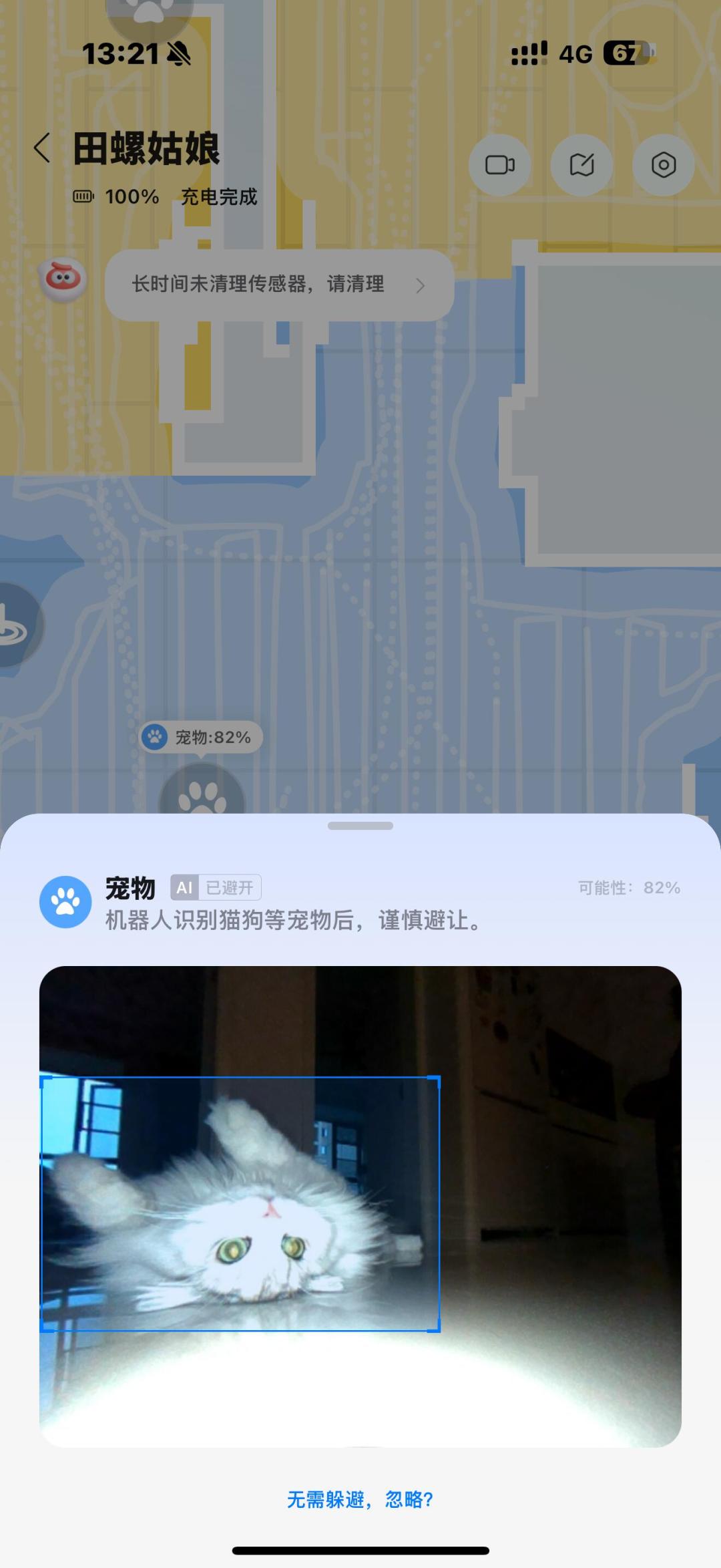 石头把“宠物拍片”卖爆了,但养宠家庭真正怕的是那万分之一:付钱前核对这四件事
