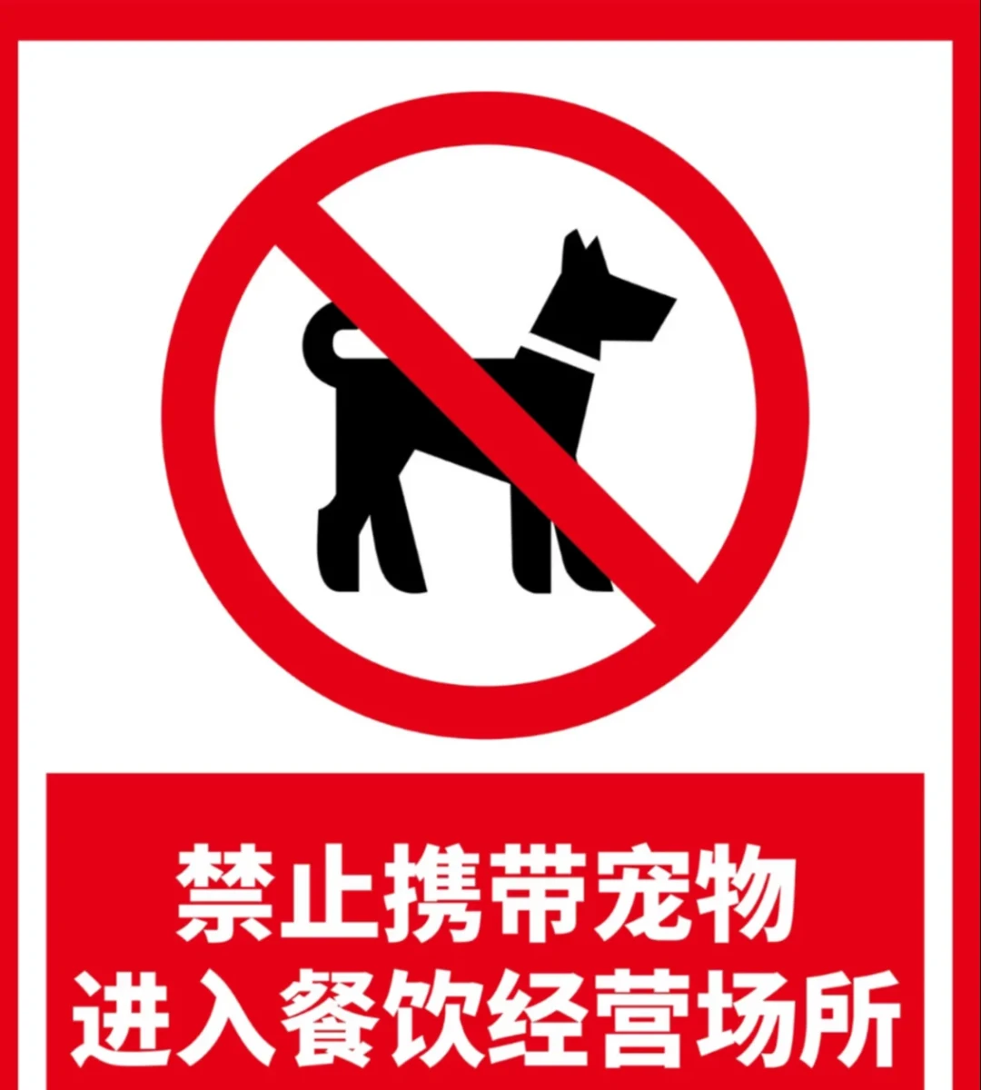 成都养犬新规施行第9天:狗证卡在审核、犬伤人要“先垫付”,养犬人这份行动清单值得存