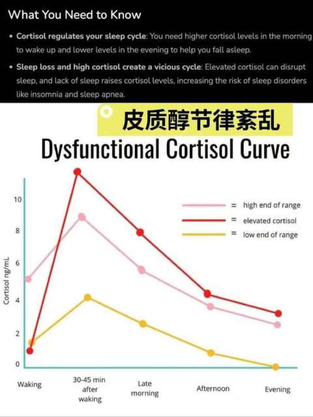 总凌晨三四点醒、再也睡不着?先别怪“皮质醇高”:对完小红书知乎B站100多条内容,6种醒大多不用花钱