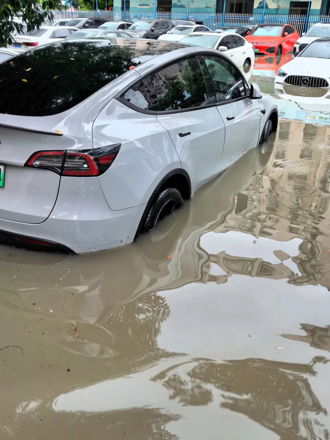 白海豚强降雨还要下3天:下楼挪车前,先把这3个判断看完