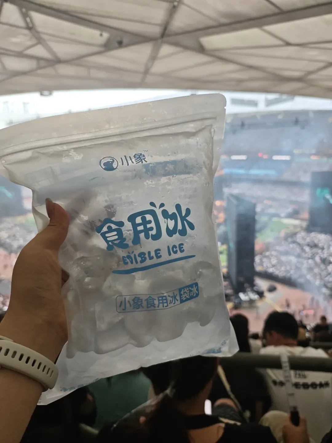 瓶装水安检会被拦、食用冰却能带进去：8月户外体育场演唱会，进场前把这份防暑清单备齐