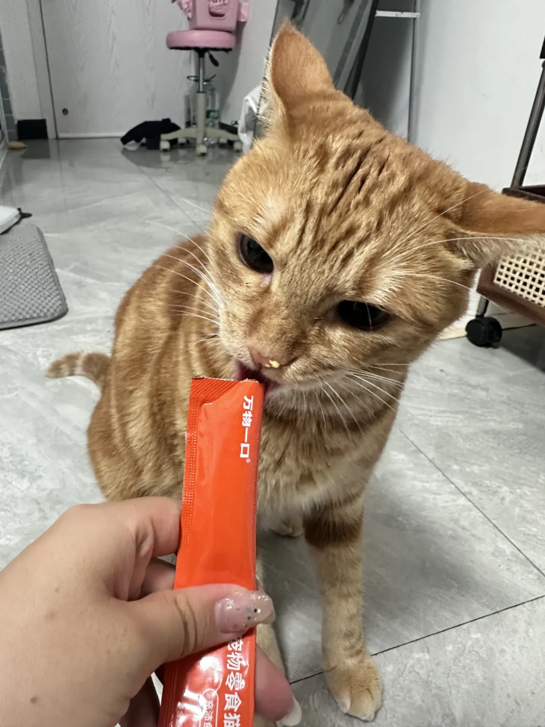 “主食猫条”刷屏，单价是主食罐三四倍：是不是真主食，翻过包装看三处