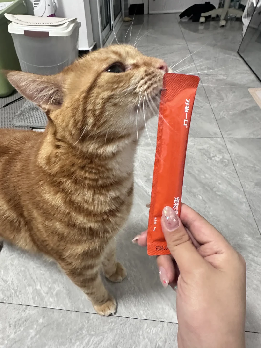 “主食猫条”刷屏，单价是主食罐三四倍：是不是真主食，翻过包装看三处