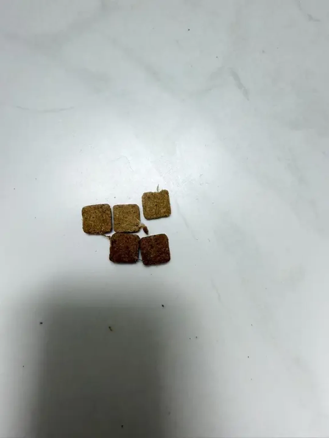 猫粮检测报告都说