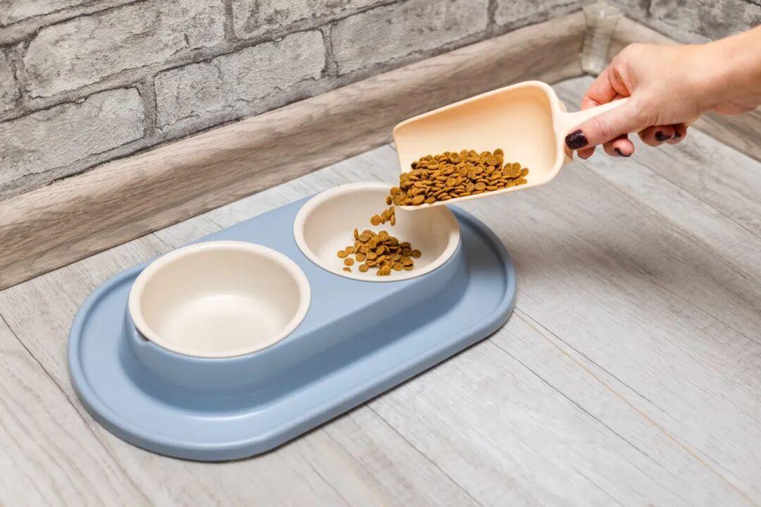 疑似“粮瘫”猫超5000只,65%吃同一款粮:你家猫正吃着被点名品牌,换不换粮看完再决定