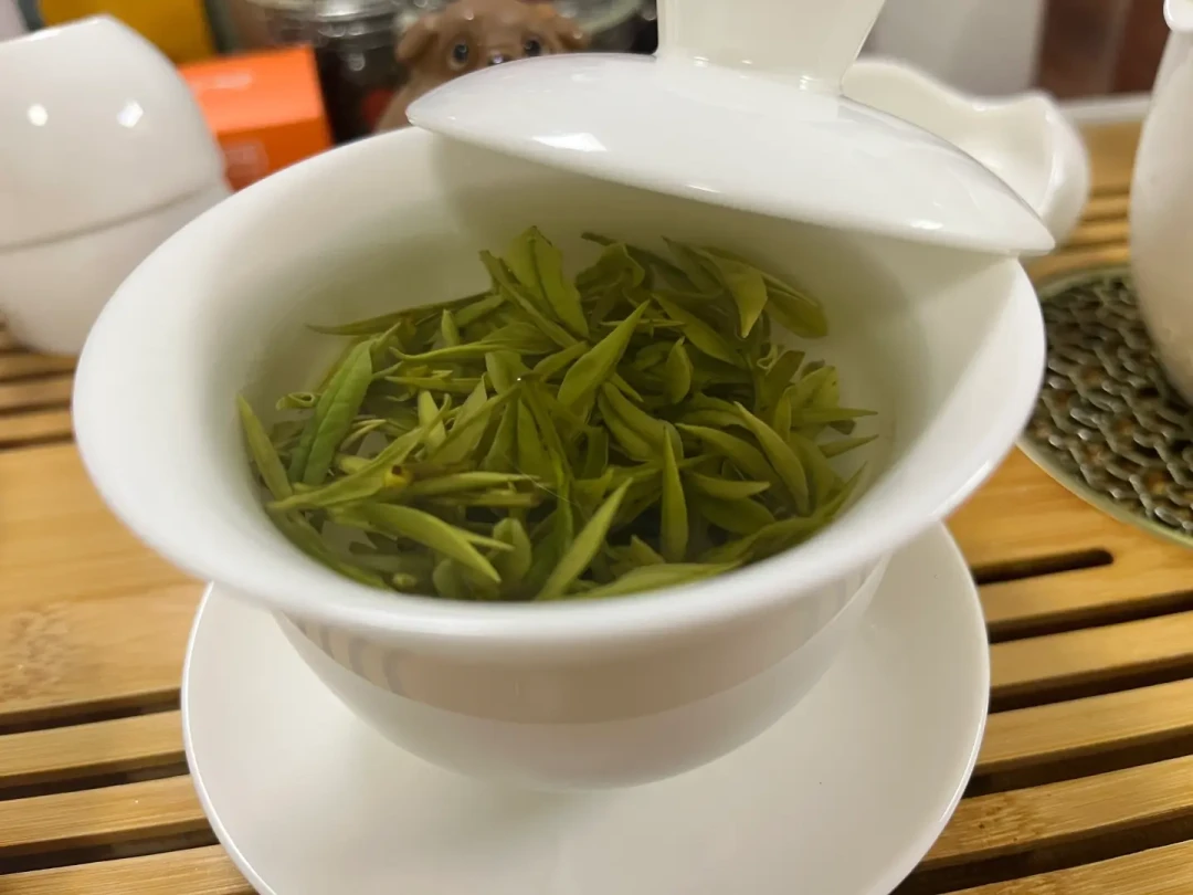春天囤的明前茶，8月正在“丢魂”？三看自查还能不能喝，附分档急救
