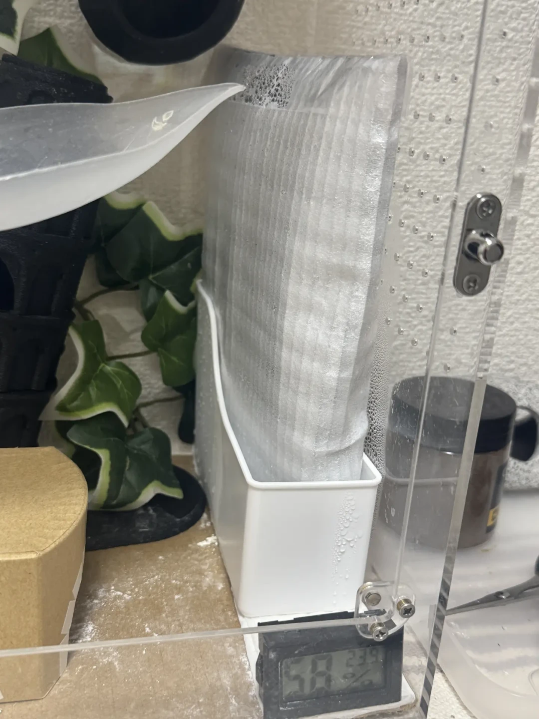 8月高温不退,守宫饲养盒降温大考:6种流传最广的方法对比,有的能撑12小时,有的冷到21℃