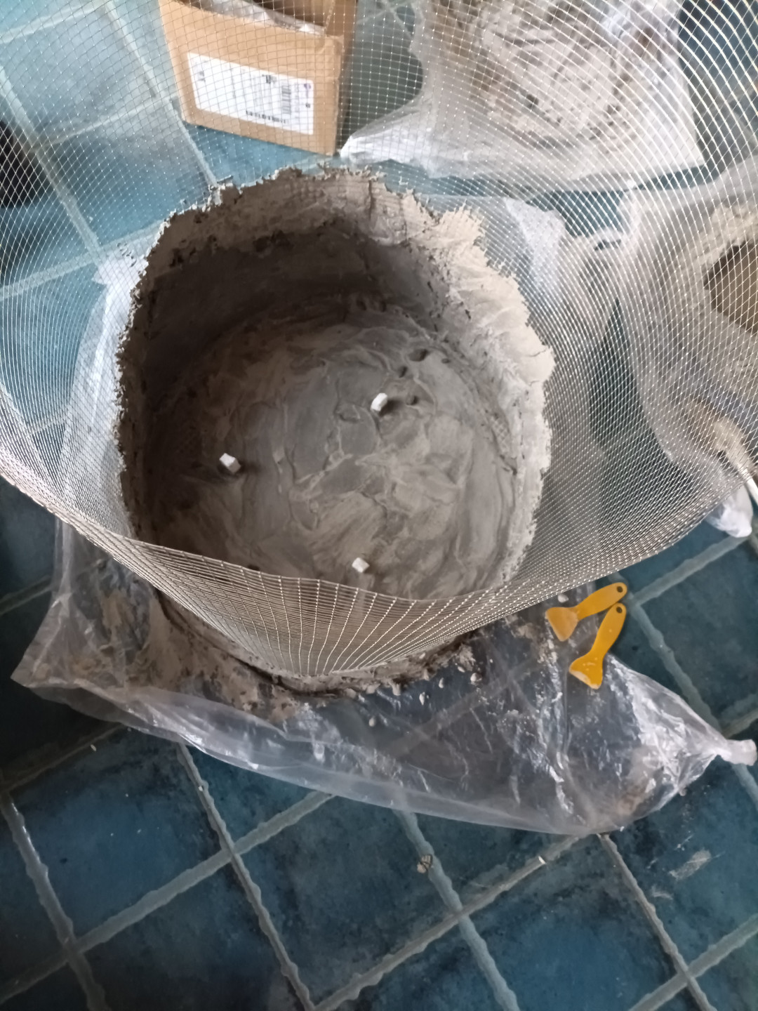 9月换盆快到了:网上流行的4种DIY花盆,省钱还是“植物杀手”,我替你算了一遍
