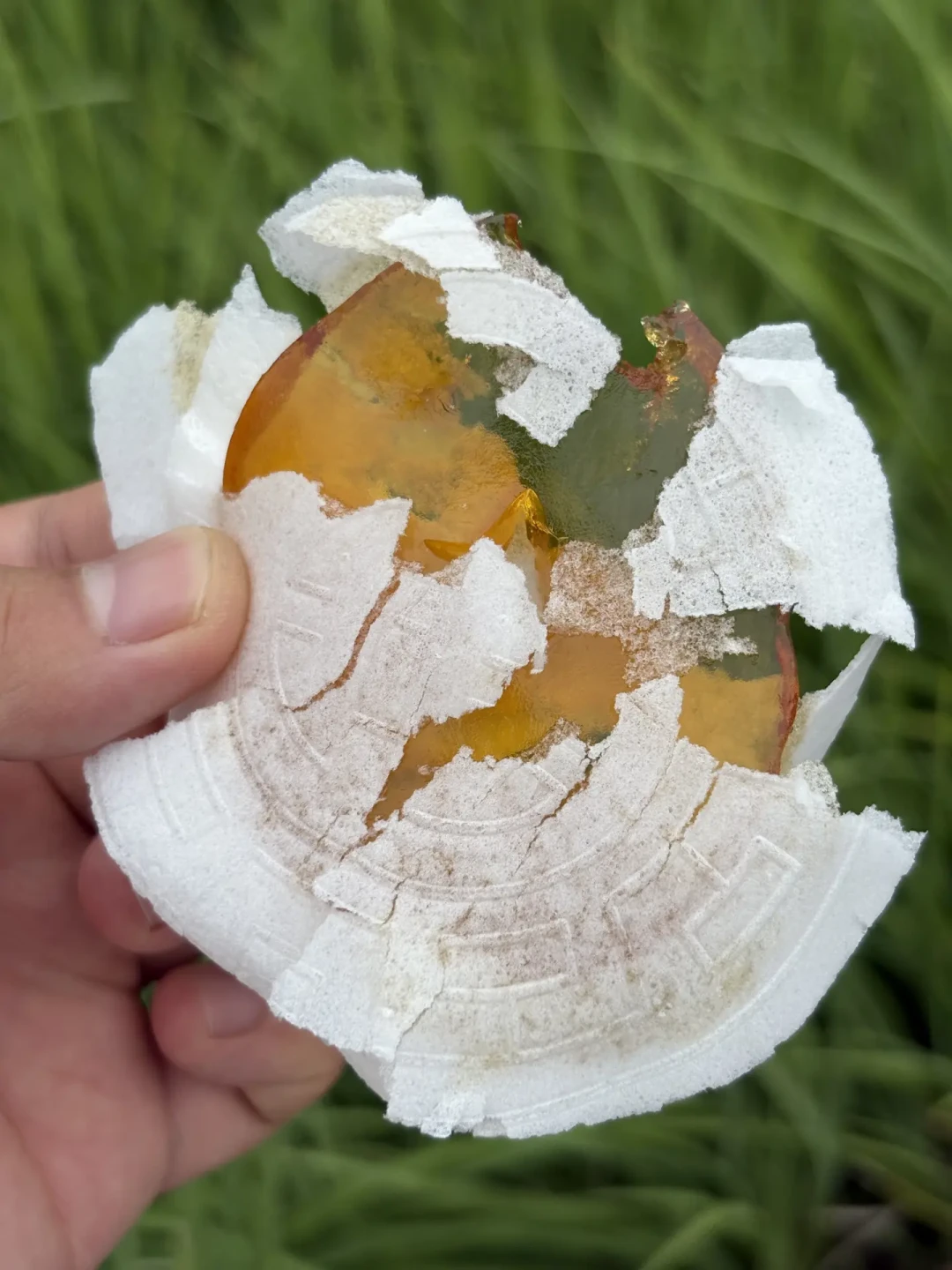 三伏全网煮茯苓祛湿,第一关却是别买到假的:丁片卷粉挑选避坑实操指南
