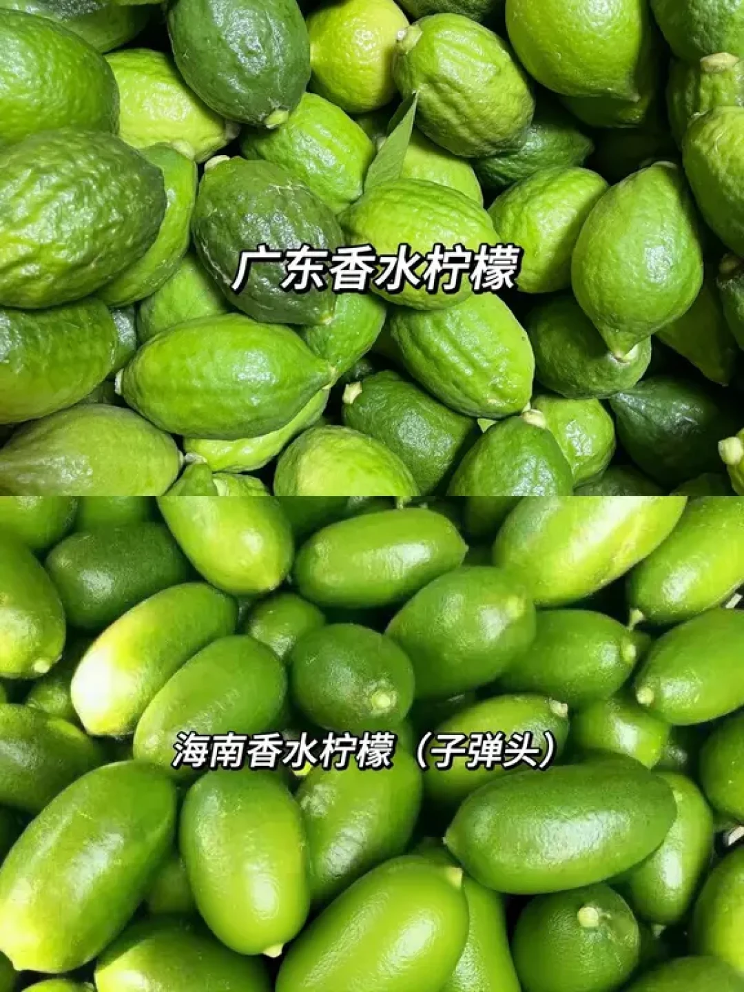 香水柠檬价格近乎腰斩,终于轮到囤了?挑果、避苦、算成本,一篇讲明白