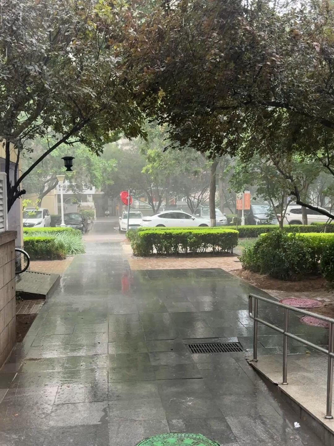 上海单家车险泡水报案已超5200起,北京暴雨峰值今夜到明天:挪车、涉水、理赔,今晚一次定