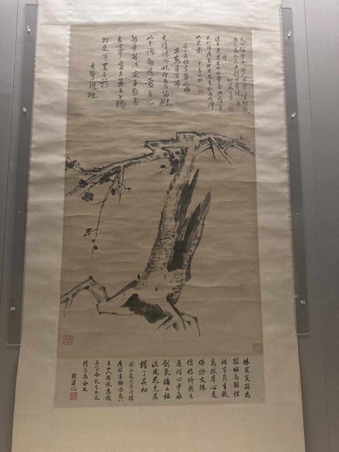 《河上花图》全卷昨天撤了、国美15日闭展:八大山人400周年,三城展我替你对比过了