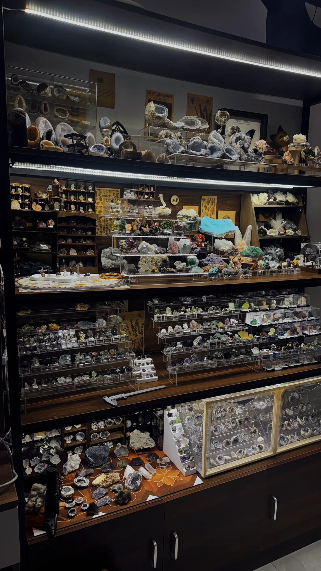 闲鱼1280的矿,直播间秒变3400:4年一届的矿物大展10天后南京开,新手入矿坑避坑指南