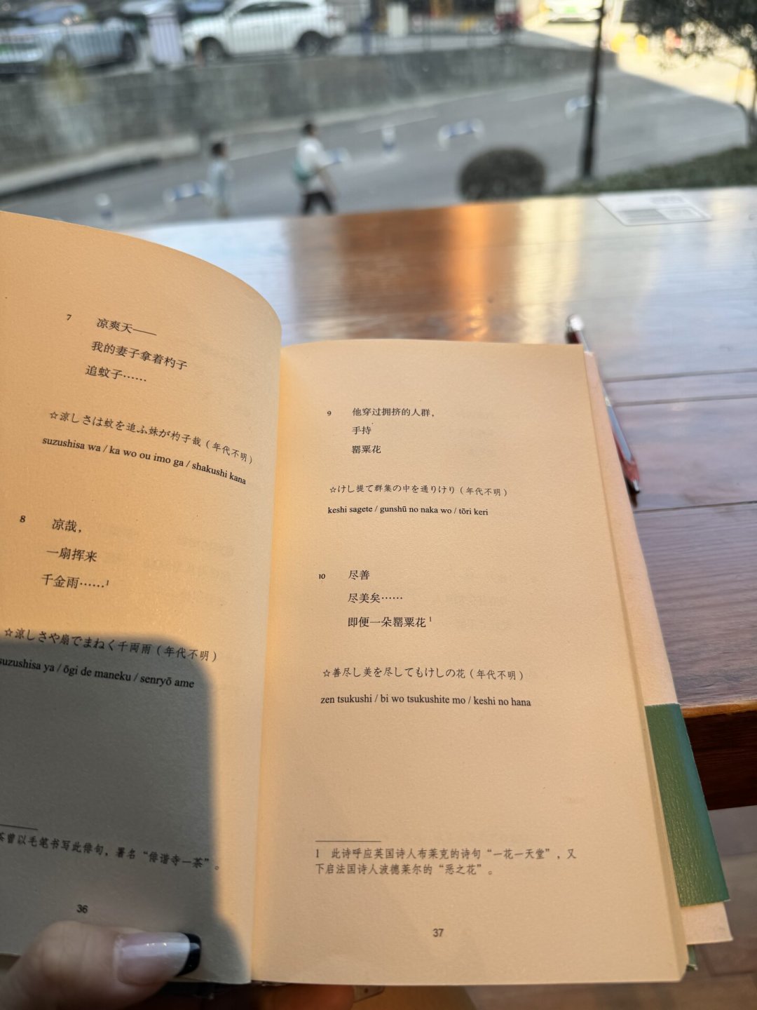 评论区变成俳句大赛现场:你写的五七五,大概率是川柳不是俳句