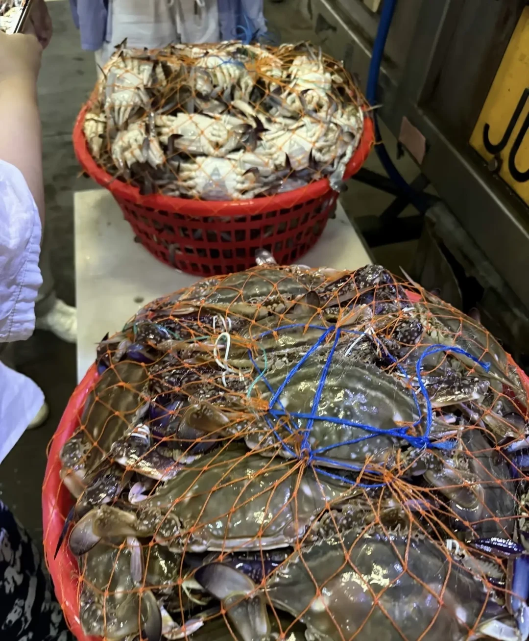 南海8月16日开渔：往年皮皮虾开渔半月从70元/斤跌到100元4斤，但最便宜的时点不是第一波