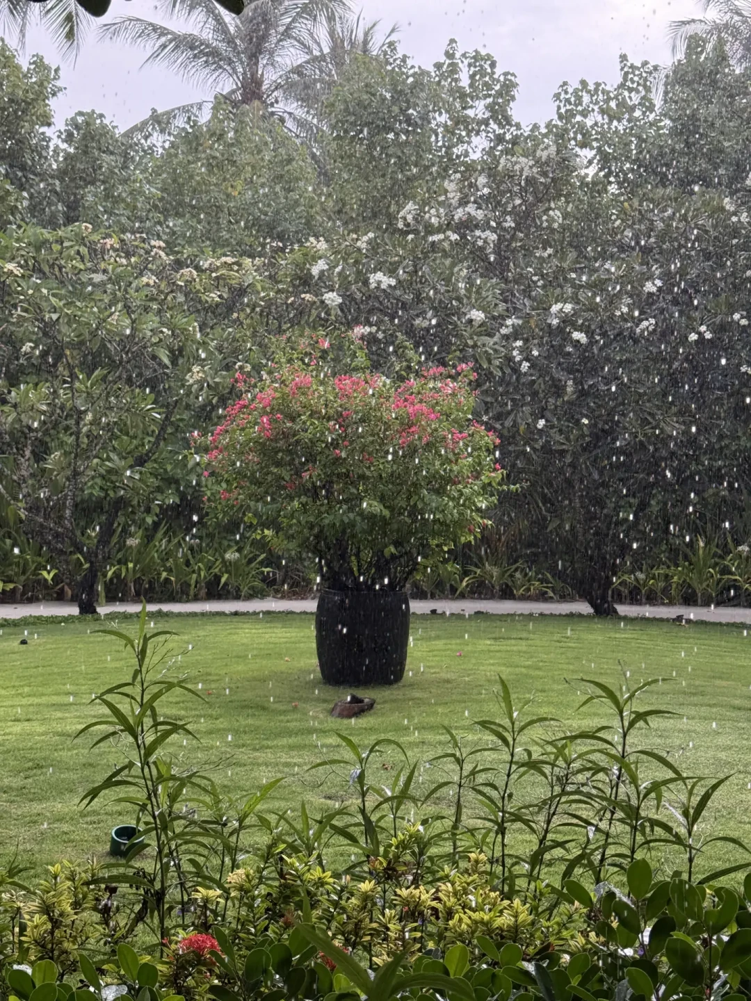 这场暴雨成了马尔代夫的“照妖镜”:雨季选岛,先看滞留政策再看海景