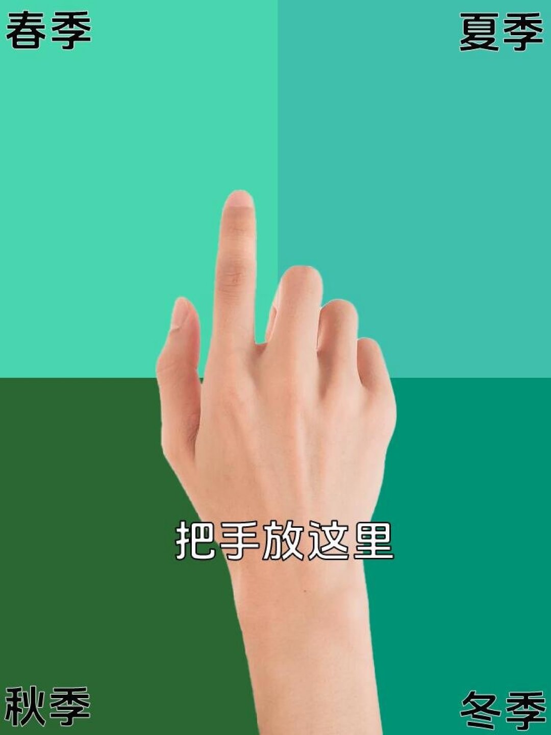 4.2万赞的四季型自测帖,评论区排着答案串等