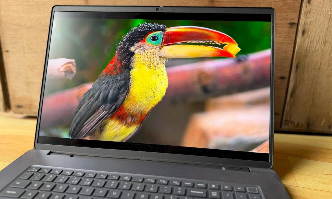 顶配近20万、屏幕却只有2.5K IPS：戴尔Pro Max 18 Plus进国内，三类人三种答案
