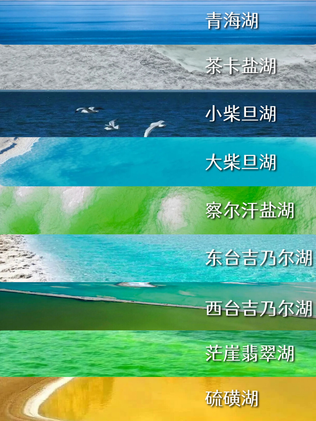 青甘大环线到底要花多少钱?翻遍全网真实账单后,发现最肉痛的不是门票