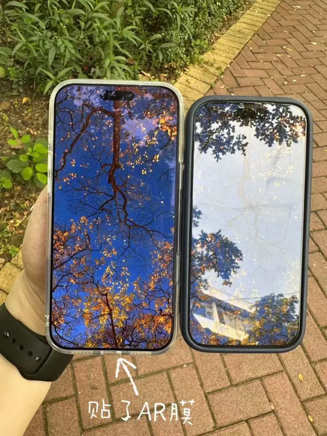 iPhone 17贴普通膜就白瞎原屏AR涂层?把换膜党和不换党的论据都翻完,我帮你算清这笔账