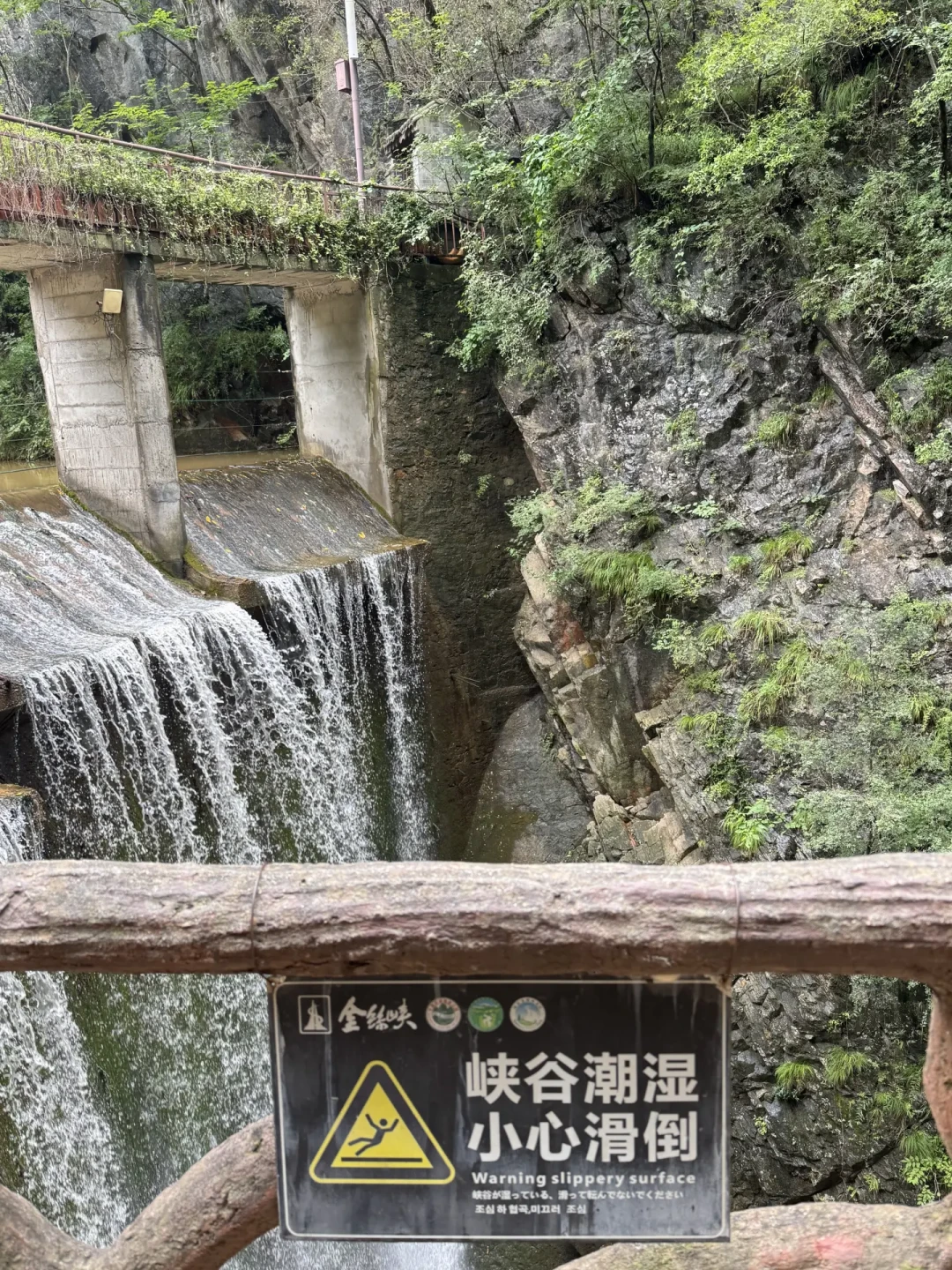 萨洛蒙黎明蓝:998元的定价,却有人找到北京,批次偏绿、雨天打滑,这只断货王的完整时间线我理清了