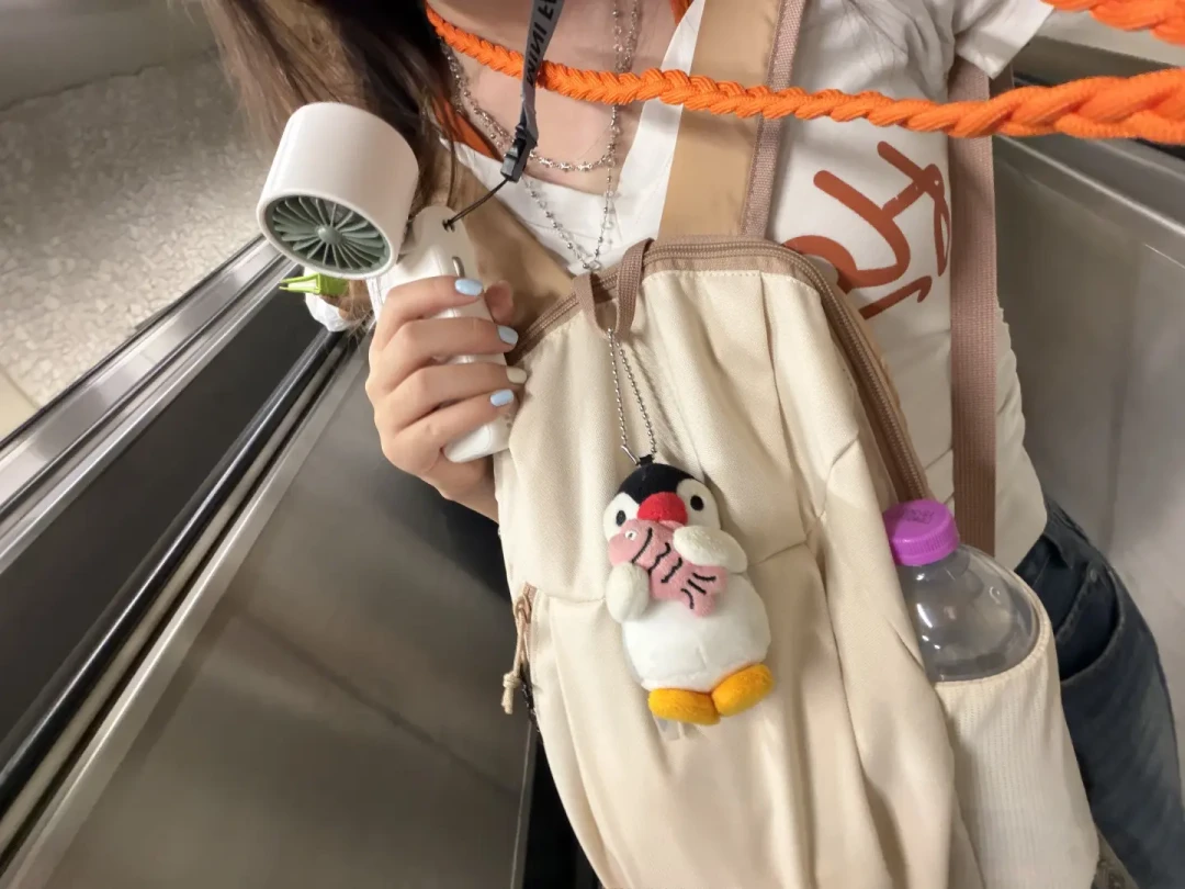 去欧洲前被小偷劝退?交叉比对20篇防盗热帖:真正管用的装备全套230元以内