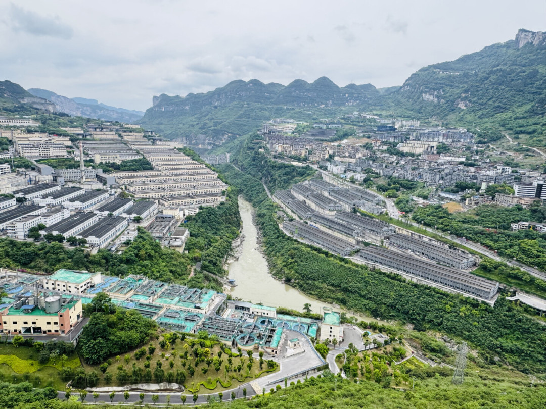 还在囤习酒等升值?回收价跌到580,一箱亏近两千:酱酒囤酒的三道关,习酒一关都没过