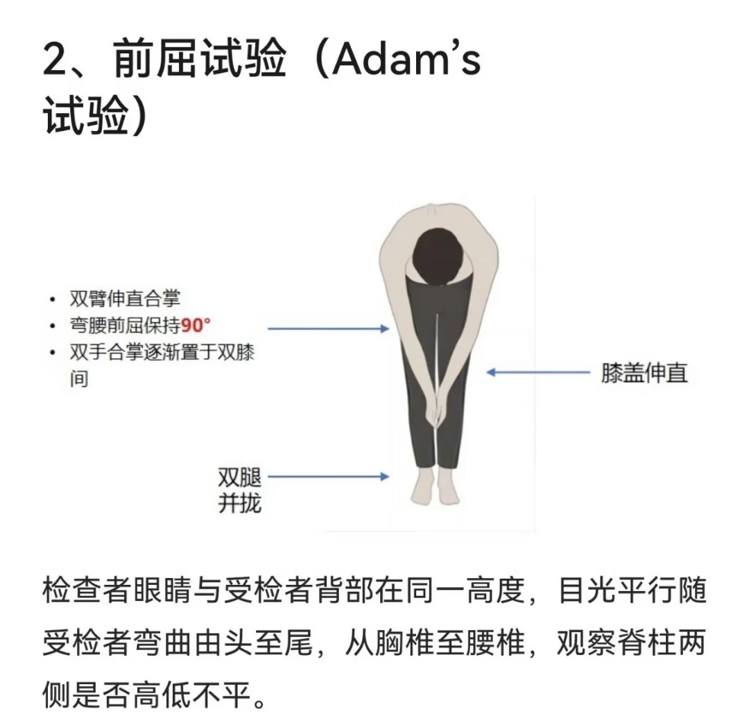 喊“站直”基本没用:开学季这份「体态花钱优先级」,多数家庭顺序排反了