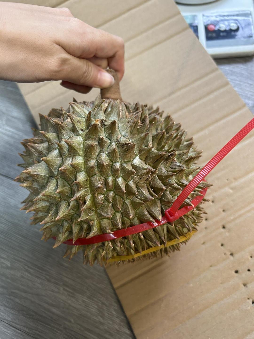 全网刷屏的巴掌榴莲先别急着下单:算了十几条开箱记录的果肉成本,发现“报恩”和“报仇”差距比想象中大