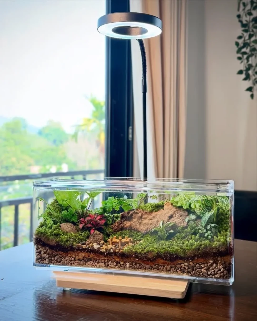 苔藓长出“小火柴棍”?造景派说观赏期到头,养藓派说这是来报恩,剪还是留得看你玩什么