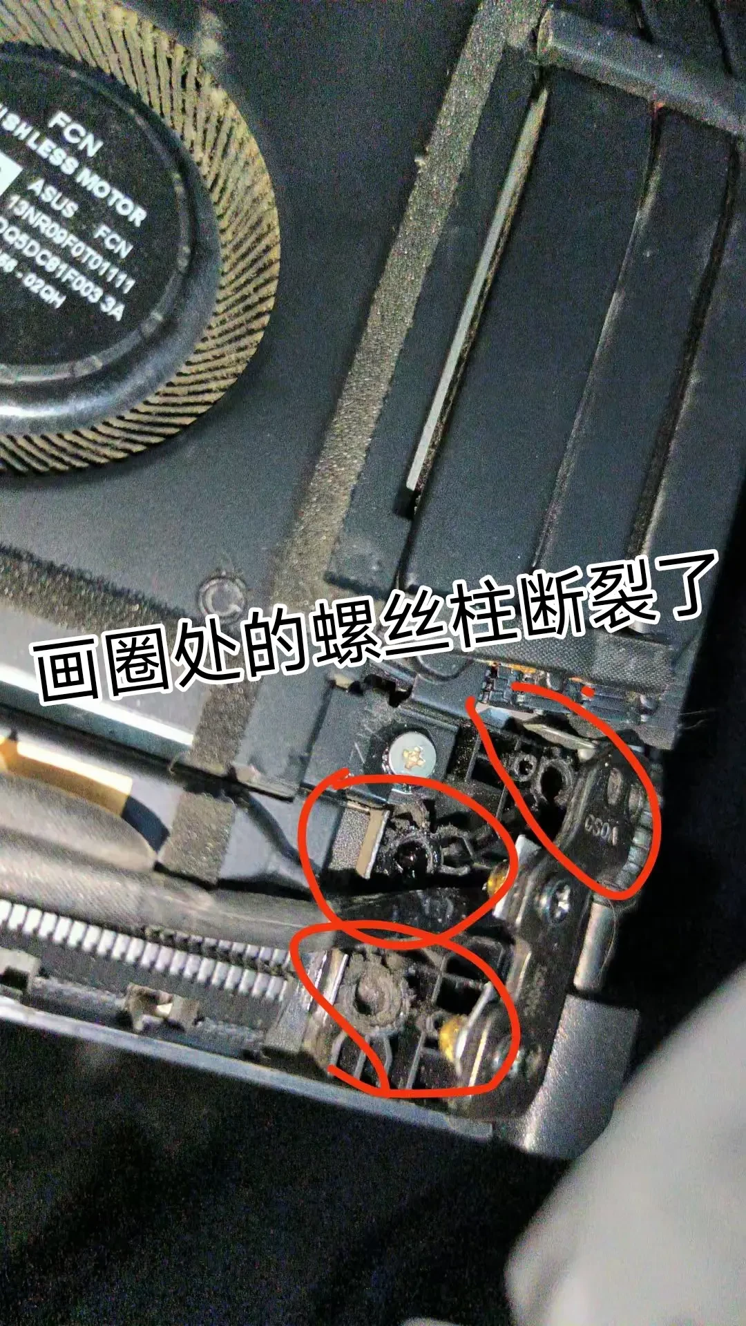 天选