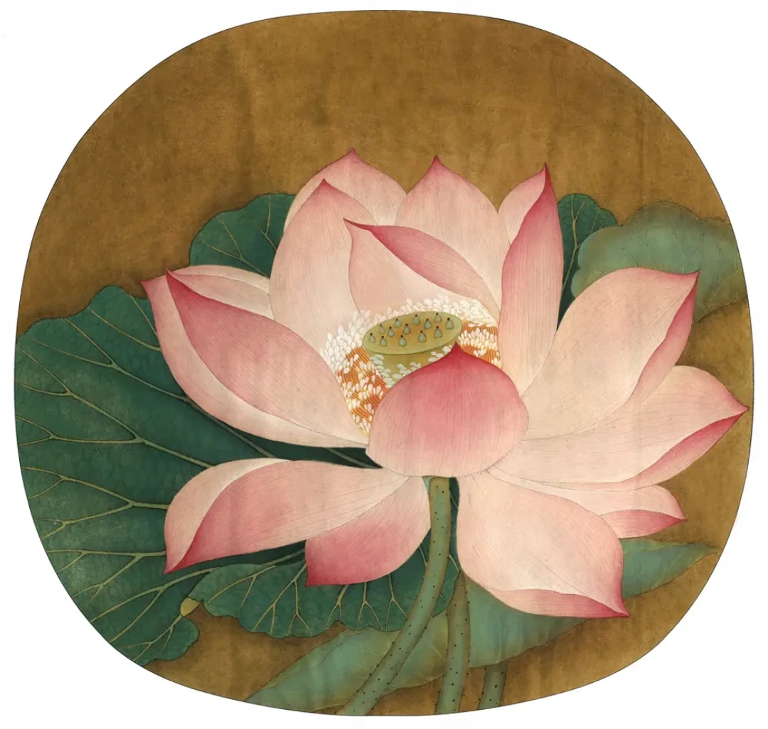 夏天正是临《出水芙蓉图》的季节,但先别急着下单——工笔新手的第一套工具,一百多块就能凑齐