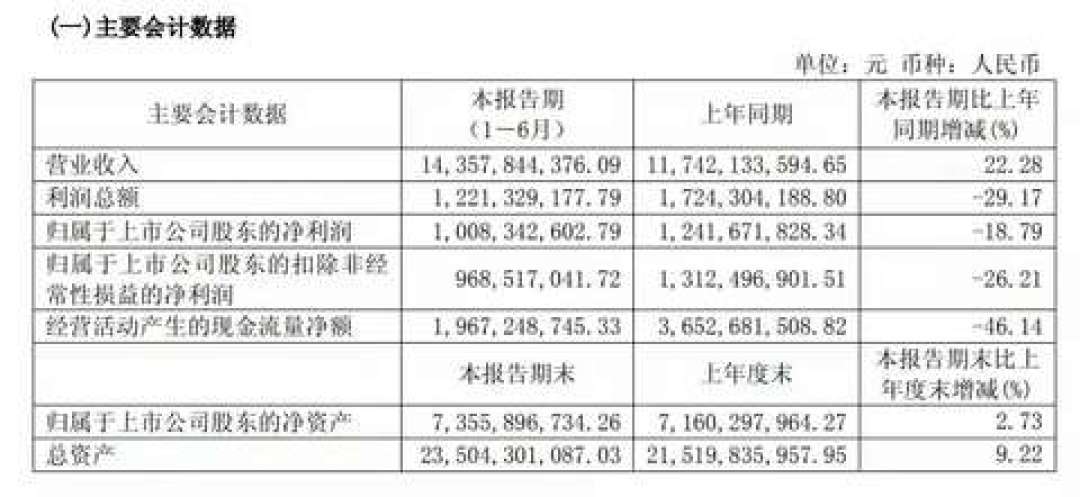 九号上半年营收增22%、利润降19%：有人喊危机有人喊复利，买家和车主该看这三个信号