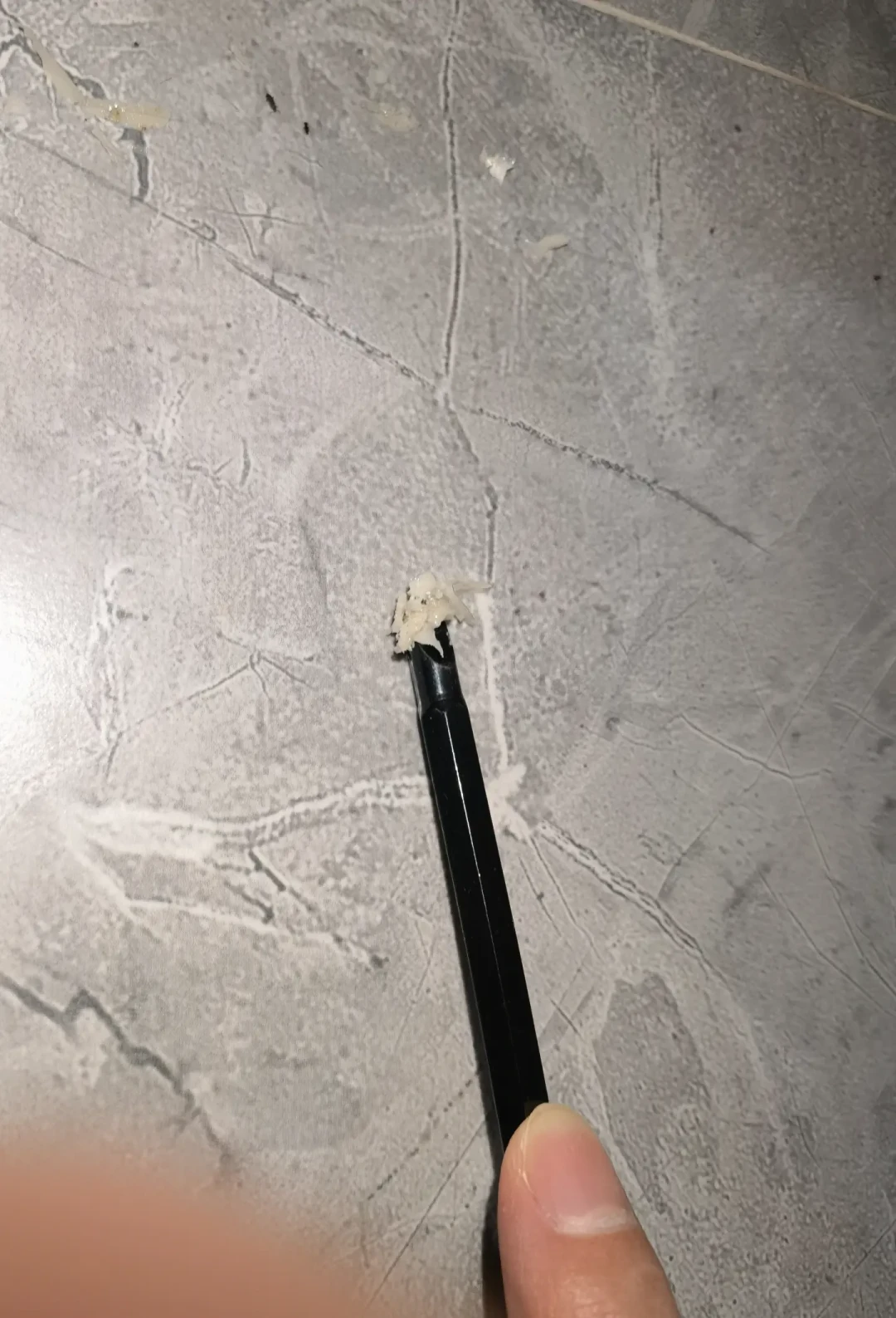放了药只死蚂蚁、喷了药蟑螂“消失”？八月灭蟑的失败点都藏在这些细节里，附补药时间表