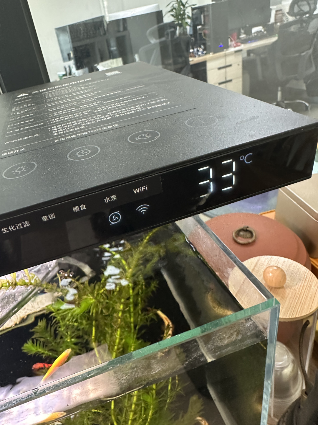 别再往缸里扔冰瓶了:翻完1.6万赞的降温辩论,发现夏天的鱼多数不是热死的