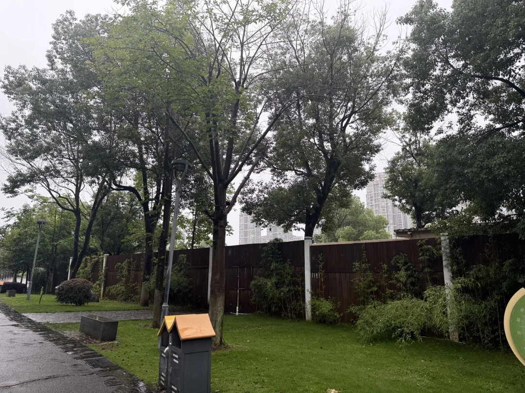 明天两档新综同日开播,还有几个熟悉IP排队:这一份本周综艺追看日历理清楚了