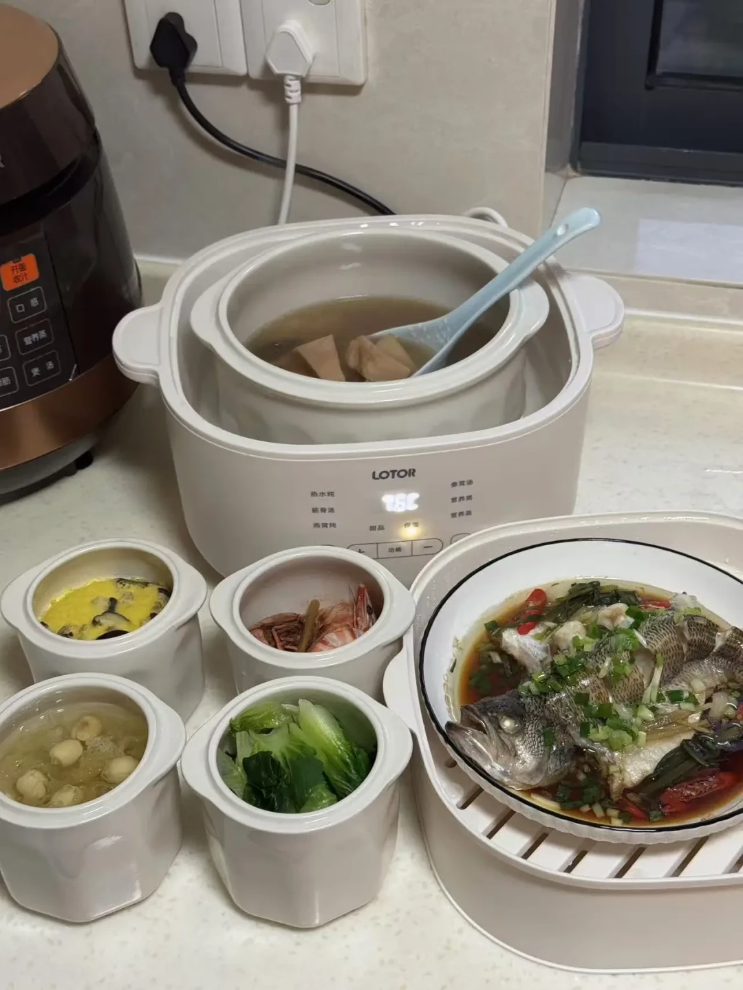 末伏第一天:隔水炖汤想买料包,先看看药店价再决定