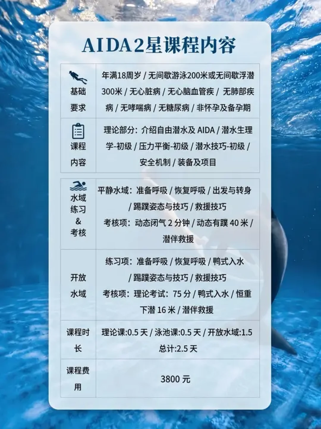 宁婧妤一口气下潜114米破亚洲纪录:没有氧气瓶?为什么压不坏?一次说清