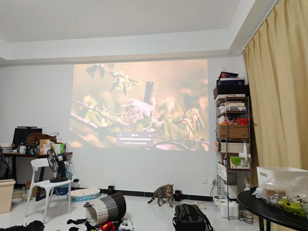 Vidda C3 Ultra高亮版清仓7080元,极米RS30 Pro Max跳水7238元:差价缩到一顿饭钱,现在买谁?