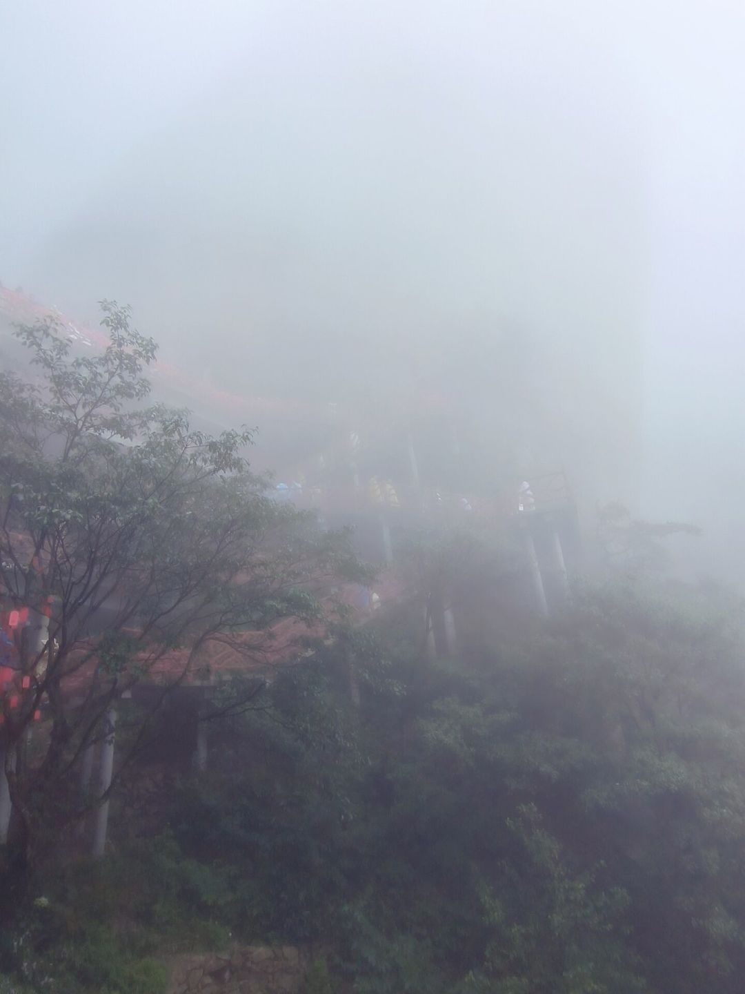台风“白海豚”过去了,但先别急着进山:暑期尾声最容易被忽略的出行风险窗口,就是这几天