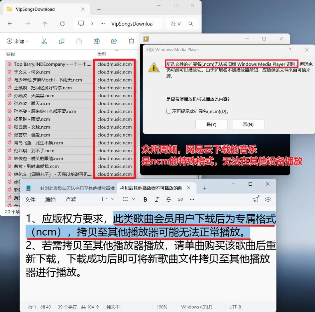 网易云音乐会员下载的歌变ncm播不了:转换、重买还是不折腾,看完这篇再决定