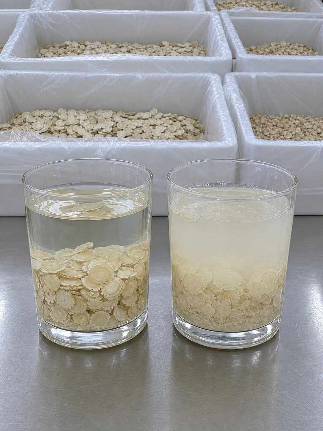 立秋后想喝西洋参水:我把小红书知乎微博75条笔记逐条核对,体质、掺假、溢价三个坑浓缩成三问