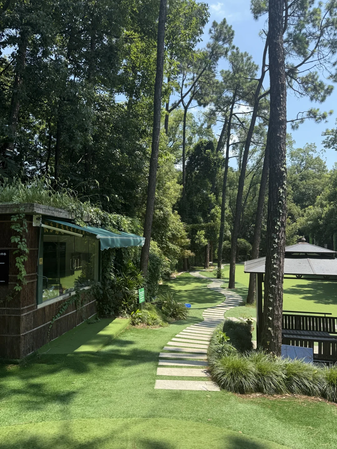 连詹姆斯上高尔夫球场都像新手:零基础的前90天,顺序比球量更重要