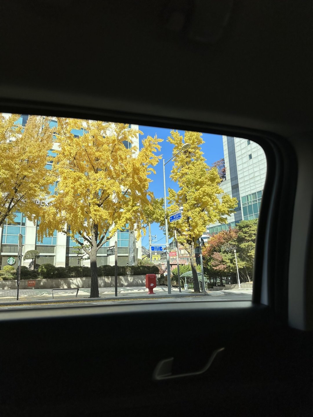 刷到