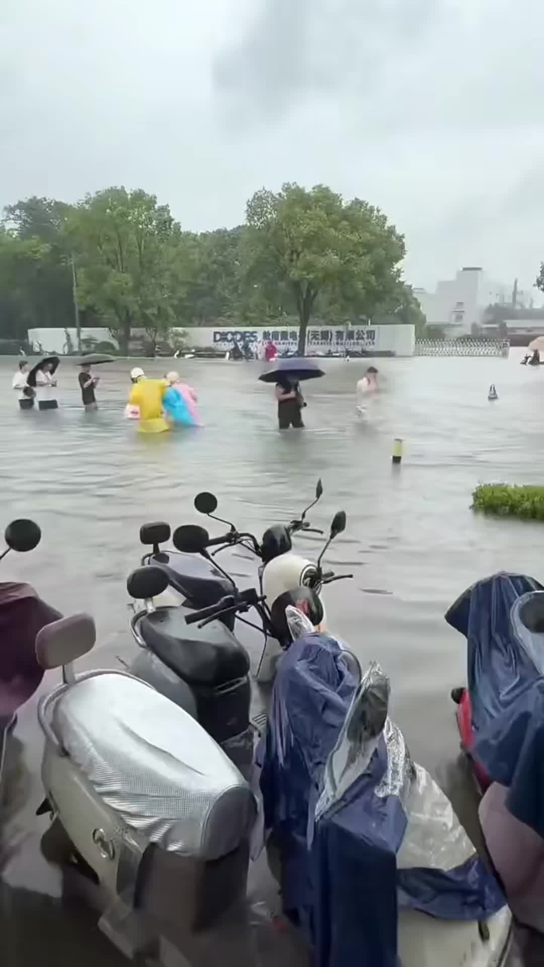 台风