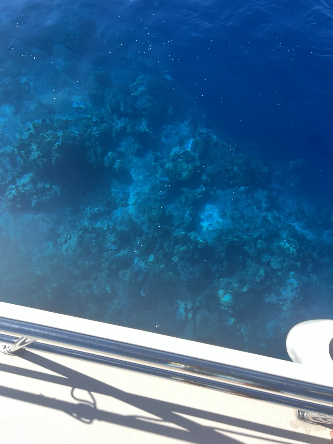 《小命差点交代在马尔代夫》5.8万赞:水屋免费浮潜的风险,藏在最后20米